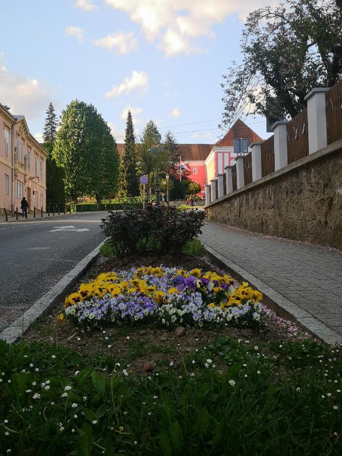 La Dolce Vita Varazdinske Toplice Zewnętrze zdjęcie